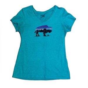 Patagonia Buffalo Graphic T-Shirt (Size Medium)